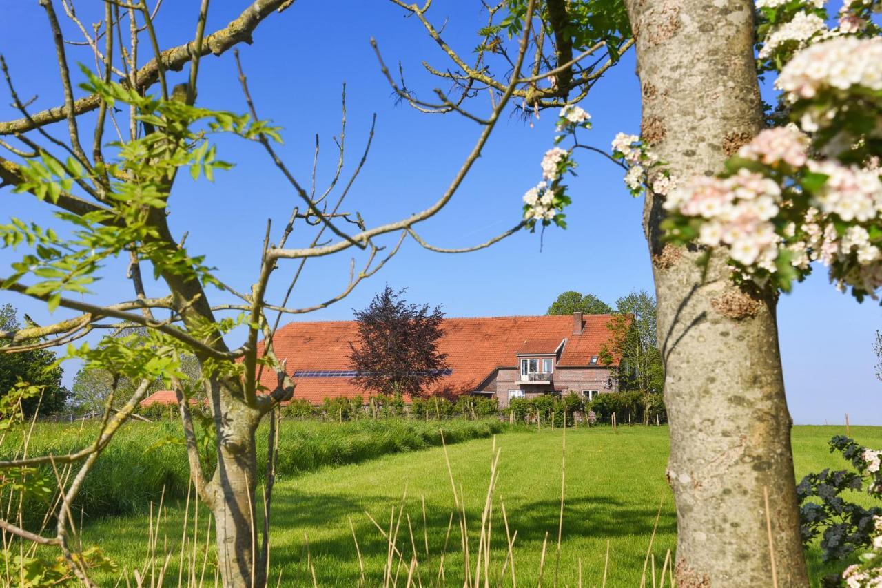 Ferienwohnungen Auf Dem Ferienhof An Der Schafweide แวร์ดัม ภายนอก รูปภาพ